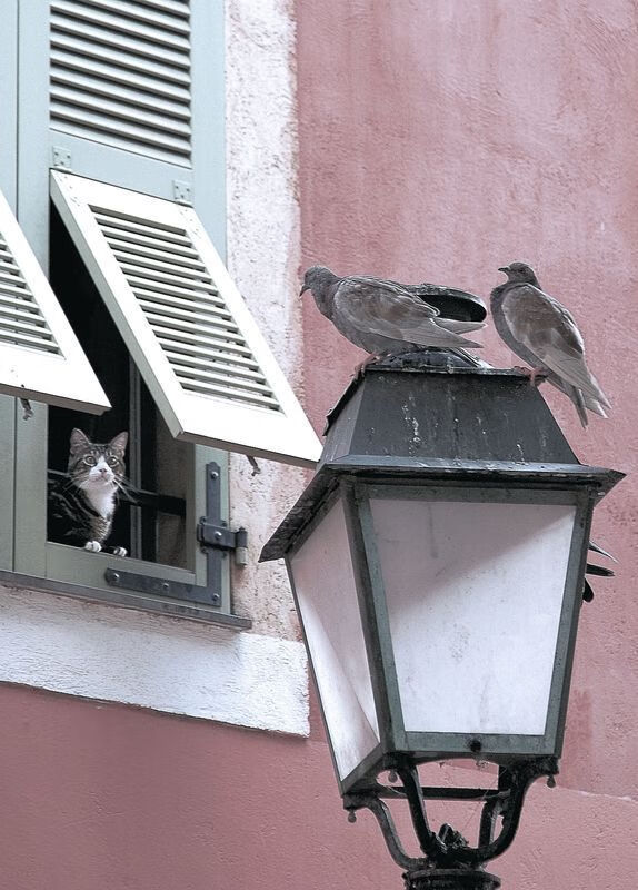 国际乒联宣布新合作伙伴，推动乒乓发展，国际乒乓联会