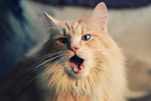 开云体育官方网站登陆-体育市场发展动态监测，体育市场现状分析