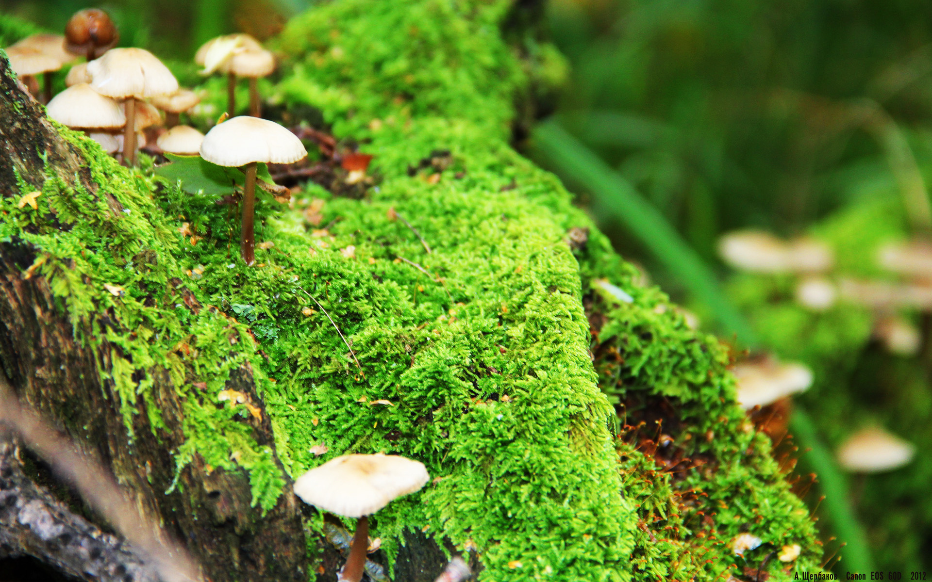 运动干预在中学生抗压能力训练中的作用研究,运动干预方案模板