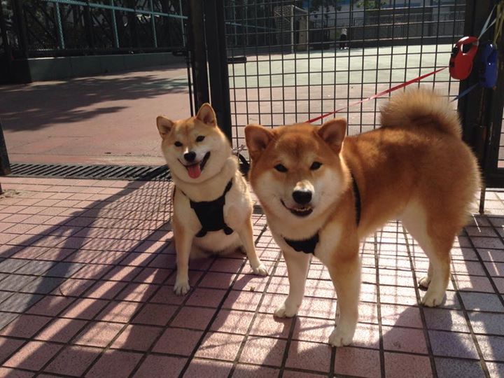 开云中国-“曼城阵容豪华，誓言捍卫欧冠荣耀”