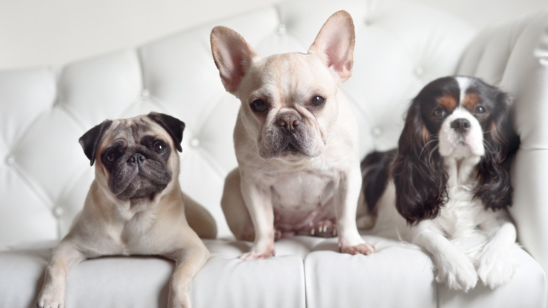 开云体育官网下载安装-“香港牛仔3K亲子跑：亲子跑步狂欢时刻”