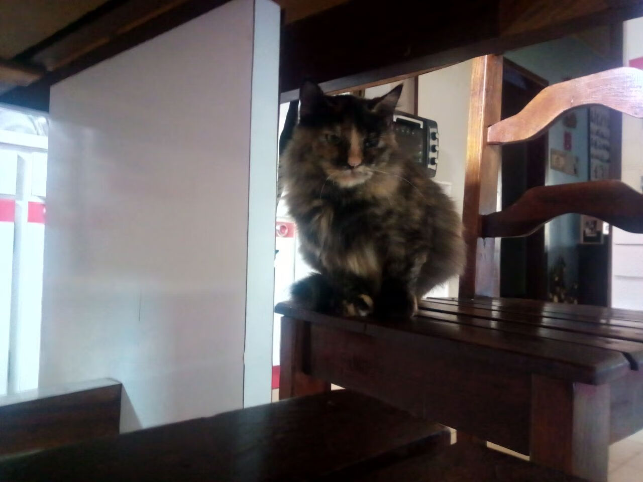 开云体育官方网站登陆-中立B男队整体划频控制能力提升