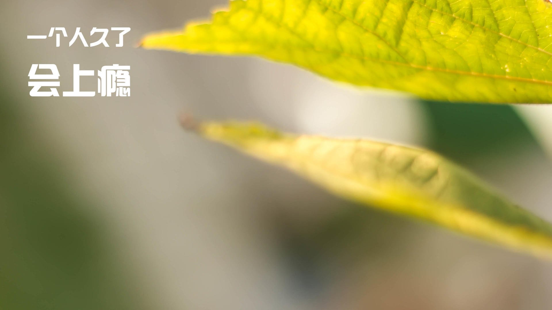 开云综合服务-全民健身周活动与博物馆联动打造互动体验，全民健身活动报道