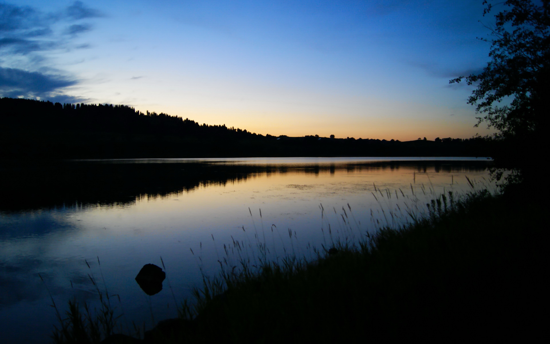 开云LOL-美国选手划水周期加快，冲刺更激进，划水冠军表情包