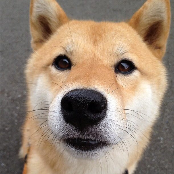 kaiyun中国官方网站-联盟中最擅长在弱侧得分的球员分析，nba弱侧手