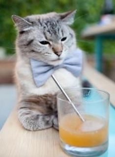 都灵阵容稳定压制对手前场推进，都灵厉害吗