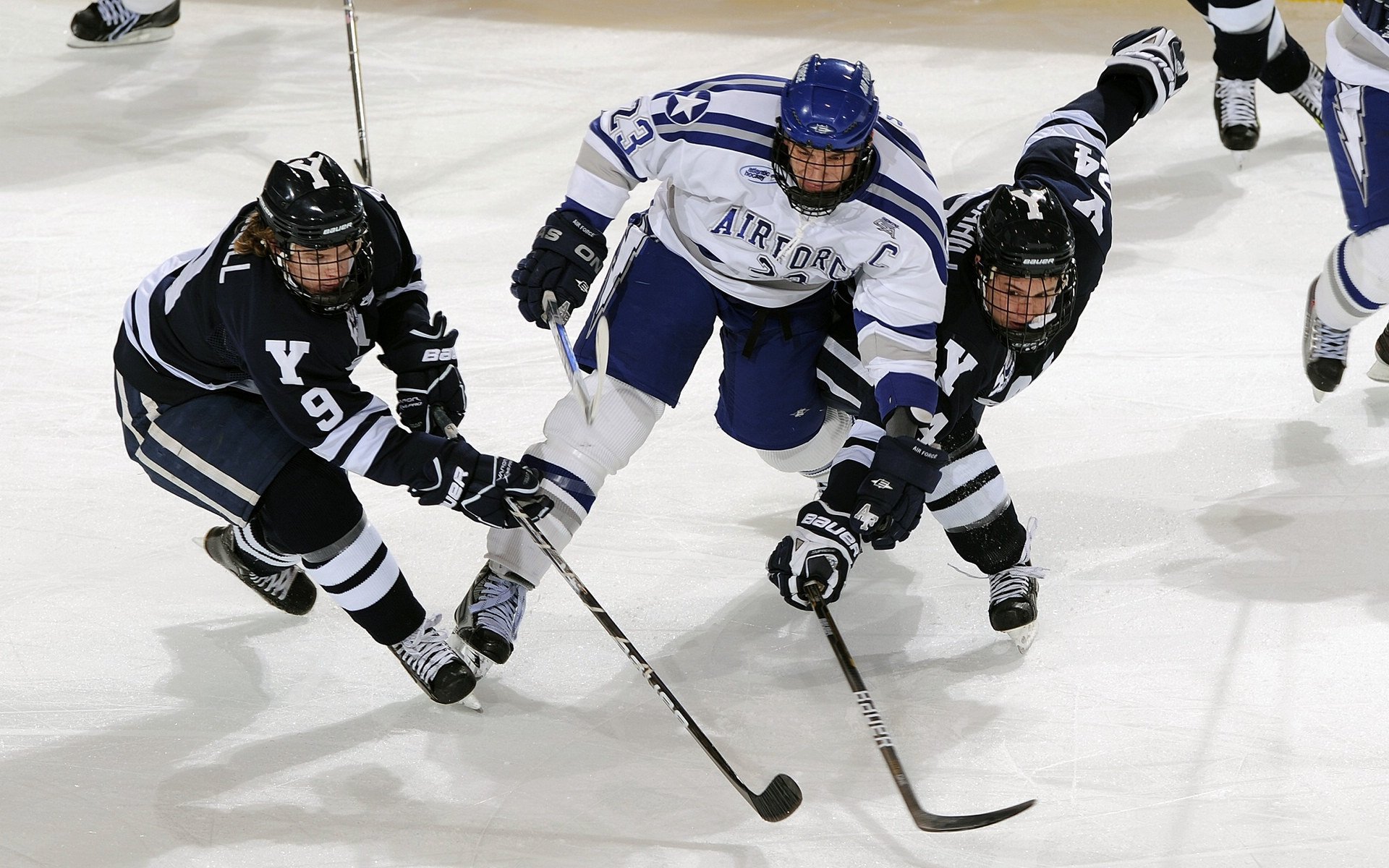 国际滑联速度滑冰世界杯荷兰站 高亭宇500米项目强势夺金，速滑运动员高亭宇